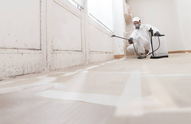 24/7 Emergency Mold Remediation experts in Oakland, PA